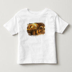 Eiken vaten in de kelder bij Domaine Comte Kinder Shirts