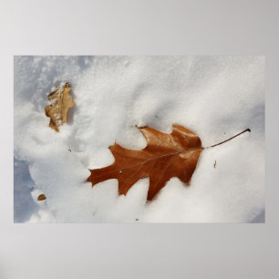eikenblad op de sneeuw poster