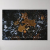 Eikenbladeren en eikels in donkere wateren poster (Voorkant)