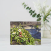Eikenbok met lentebloemen briefkaart (Staand voorkant)