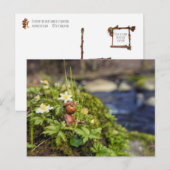 Eikenbok met lentebloemen briefkaart (Voorkant / Achterkant)