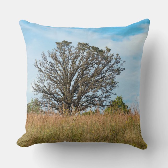 eikenboom en Sierkussen van Tall Grass Prairie (Voorkant)