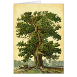  eikenboom Faux Parchment Blank Art Card