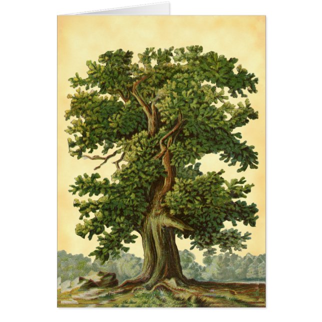  eikenboom Faux Parchment Blank Art Card (Voorkant)