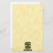  eikenboom Faux Parchment Stationery-Lined Briefpapier (Voorkant / Achterkant)