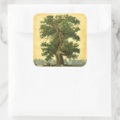  eikenboom op Stickers van het faux-perkament (Tas)