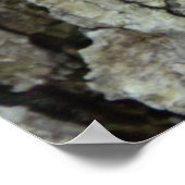 eikenboomschors poster (Hoek)