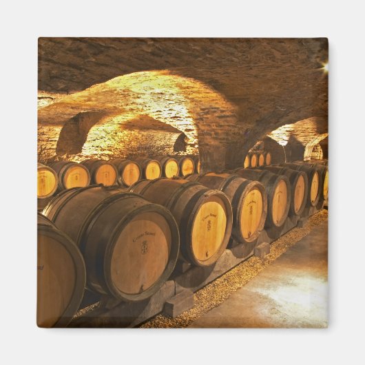 eikenborstels in de kelder bij Domaine Comte Magneet (Voorkant)