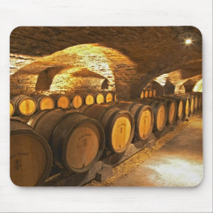 eikenborstels in de kelder bij Domaine Comte Muismat