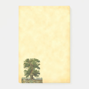 eikenstructuur Na deze afbeelding Post-it® Notes