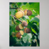 eikenvertakkingen met eikels poster (Voorkant)