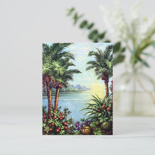  eiland briefkaart (Staand voorkant)