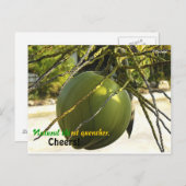 Eiland (Kokosnoot) Briefkaart (Voorkant / Achterkant)