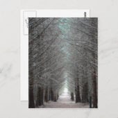 eiland Mull Forest Briefkaart (Voorkant / Achterkant)