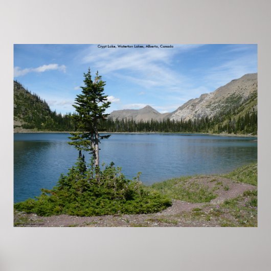 eiland poster (Voorkant)