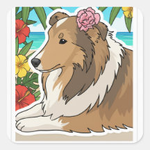 Eiland Sheltie