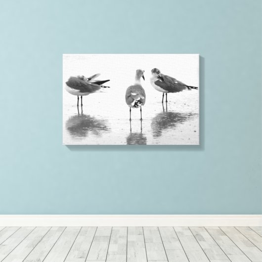Eiland Strand Zeemeeuwen Zwart + Wit Canvas Afdruk (Insitu (Houten vloer))