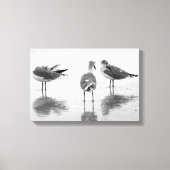 Eiland Strand Zeemeeuwen Zwart + Wit Canvas Afdruk (Voorkant)
