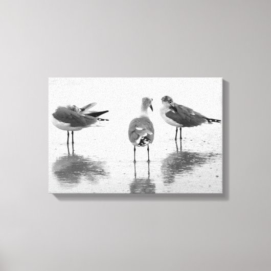 Eiland Strand Zeemeeuwen Zwart + Wit Canvas Afdruk (Voorkant)