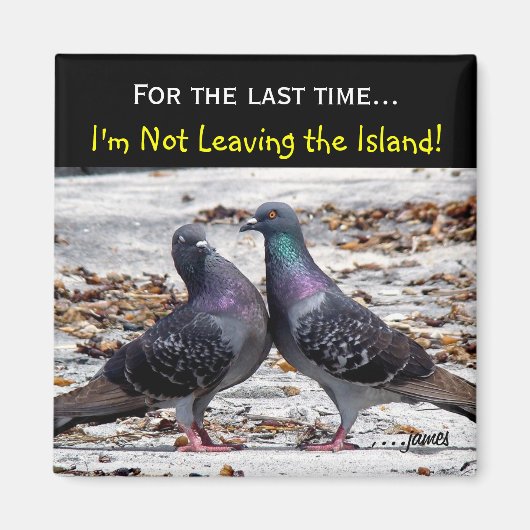 Eilandmagneet Magneet (Voorkant)