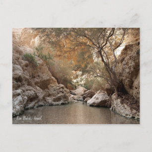 Ein Bokek, Israël. Briefkaart