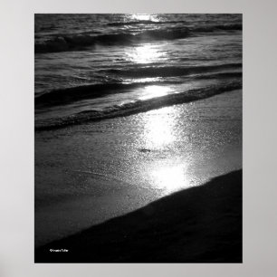 Einde dag bij dog Beach B/W Poster