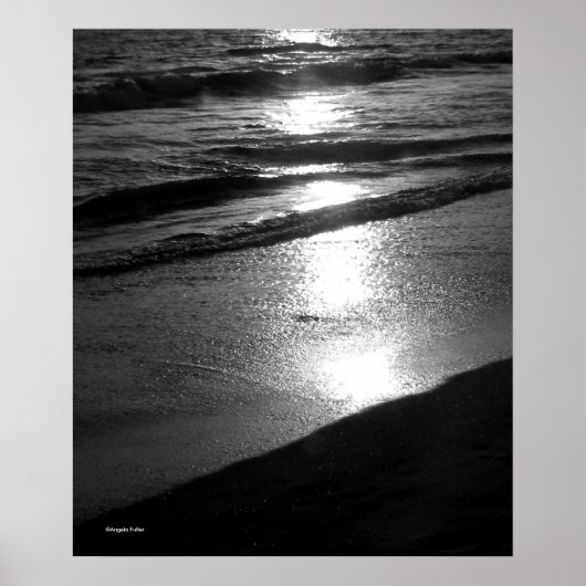 Einde dag bij dog Beach B/W Poster (Voorkant)
