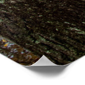 Einde van de herfst op het Poster van het aanvoerk (Hoek)