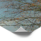 Einde van de regenboog poster (Hoek)