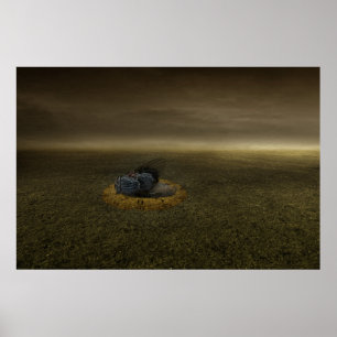 Einde van doelstelling 2013 poster