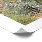 Einde van het poster Sedona (Hoek)