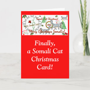 Eindelijk Somalische Cat Christmas Kaarten