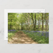 Eindeloze Bossen Briefkaart (Voorkant / Achterkant)