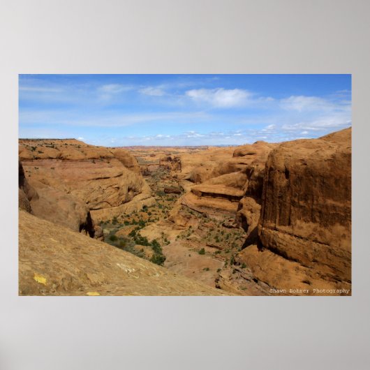 eindeloze Canyon Poster (Voorkant)