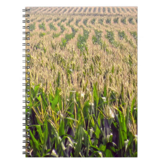 Eindeloze Rijen Mais Spiraal Notebook Notitieboek
