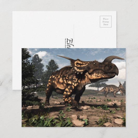Einiosaurus dinosaurussen in de woestijn - 3D-rend Briefkaart (Voorkant / Achterkant)