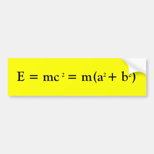 Einstein en Pythagoras Bumpersticker (Voorkant)