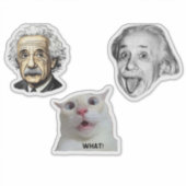 Einstein Genius & Hilarious Cat Sticker  (Devant)