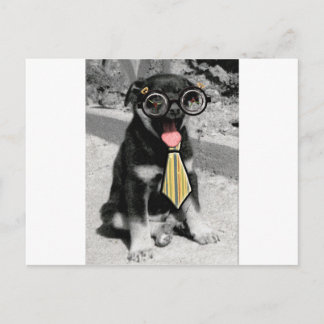 Einstein is een slimme zwarte puppy hond briefkaart
