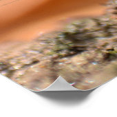 Eintagsfliege Poster (Hoek)