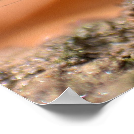 Eintagsfliege Poster (Hoek)