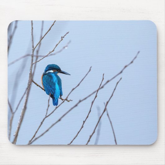 Eisvogel im Ansitz Muismat (Voorkant)