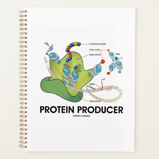 Eiwitproducent mRNA tRNA Proteïne Synthese Planner (Voorkant)