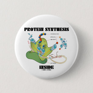 Eiwitsynthese binnen (celbiologie) ronde button 5,7 cm