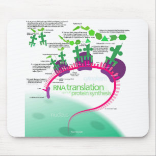 Eiwitsynthese Diagramma van RNA-translatie Muismat