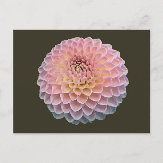 Eklat Briefkaart (Voorkant)