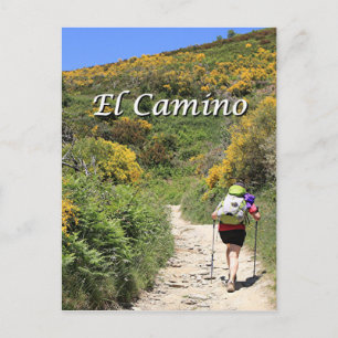 El Camino de Santiago de Compostela, Spanje, spoor Briefkaart