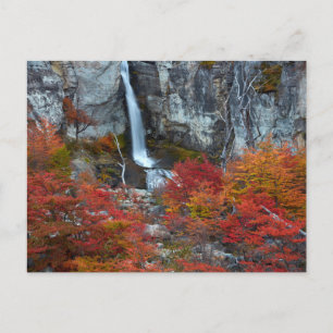 El Chorrillo Waterfall Patagonië, Argentinië Briefkaart