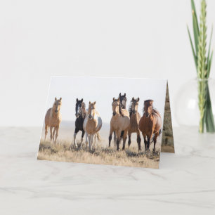 El Dorado en zijn familie Wenskaart Bedankkaart