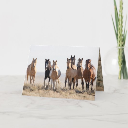 El Dorado et sa carte de voeux familiale (Devant)